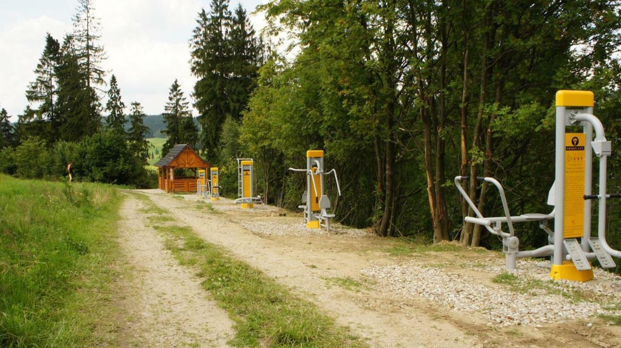 U Zosi Bed & Breakfast Pyzowka Eksteriør bilde